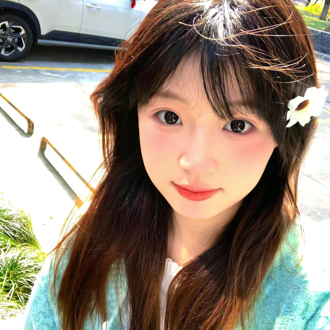 羊与钢之森海报