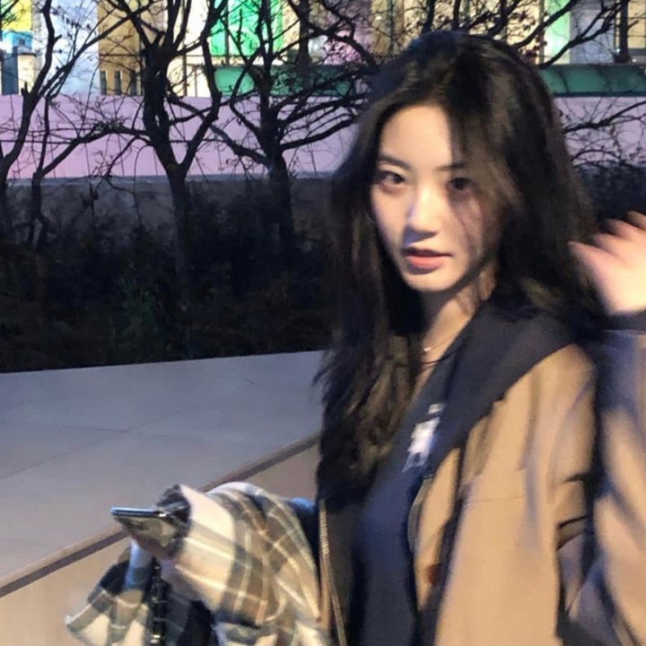 我的宠物是大象海报